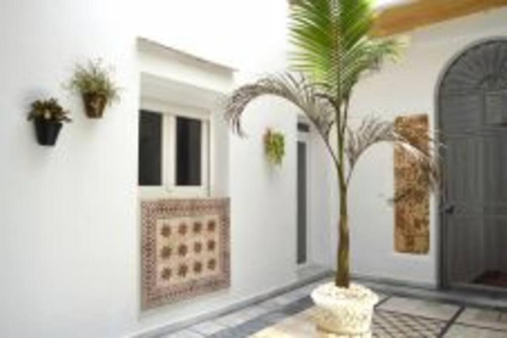 Apartamento Veedor 19 Dias Y Muchas Noches กาดิซ ภายนอก รูปภาพ