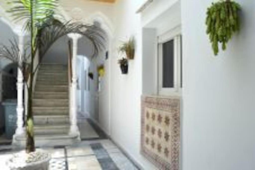 Apartamento Veedor 19 Dias Y Muchas Noches กาดิซ ภายนอก รูปภาพ